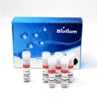 SYNAPTOREDTMC2M (ALSO KNOWN AS FM5-95, A 70028