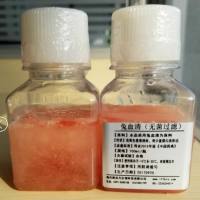 兔血清(无菌过滤)吨级供应,质优价廉,厂家直销