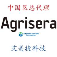 ARP6 | 肌动蛋白相关蛋白 6（克隆 12A2.A3.C2）/ARP6 | 肌动蛋白相关蛋白 6（克隆 12A2.A3.C2）/ARP6 | 肌动蛋白相关蛋白 6（克隆 12A2.A3.C2）