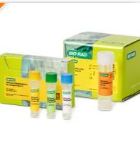 SEQuoia RiboDepletion 核糖体 RNA 去除试剂盒