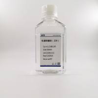 快速转膜液（20X）