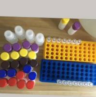 猪Bcl2同源拮抗剂1(BAK1)ELISA试剂盒