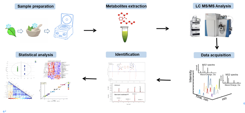图示描述已自动生成
