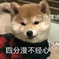 user-title