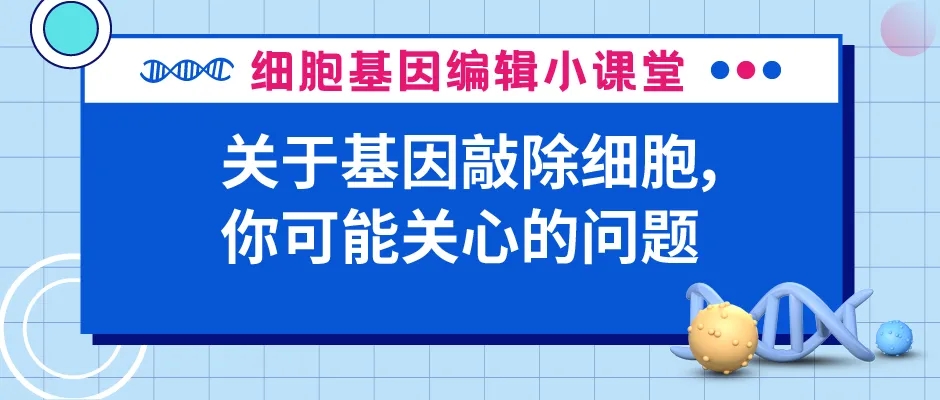 基因敲除细胞的相关问题