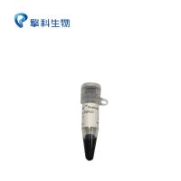 Trelief® Prestained Protein Ladder/蛋白系列试剂/彩色预染蛋白Marker/擎科生物TSINGKE