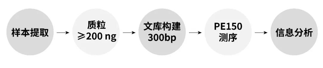 新品|全质粒测序，让获取质粒序列更轻松