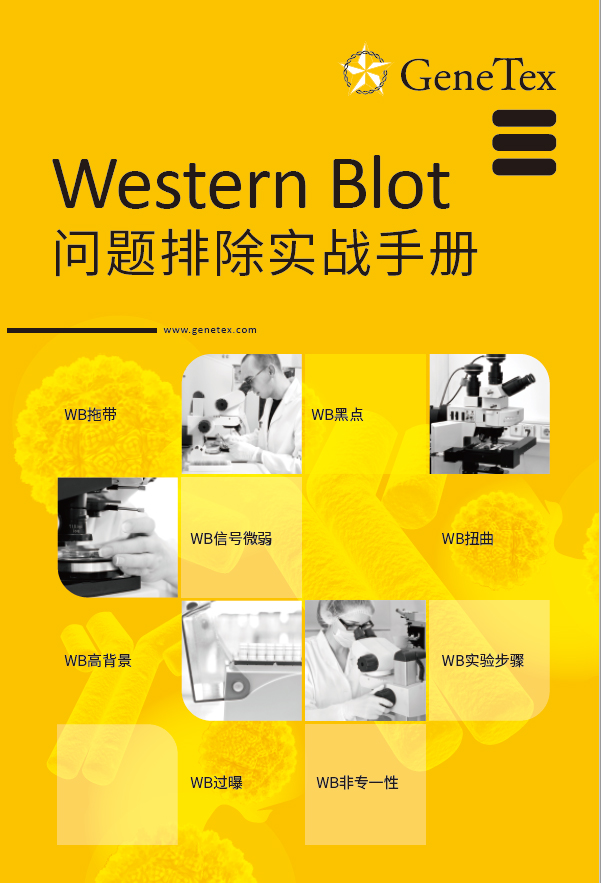小册 - Western Blot 问题排除实战手册