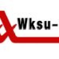 大鼠糖原合成酶激酶 (GSK) ELISA试剂盒