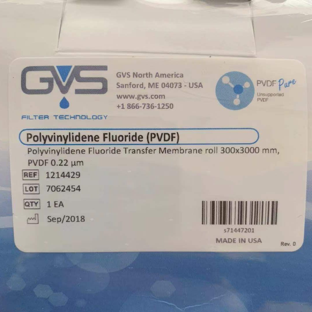 GVS 吉威思 转印膜 PVDF膜 孔径 0.22um 疏水膜 1214429 30cm*3m 现货供应 大量批发