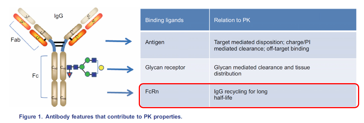 治疗性蛋白药物生物分析技术分享 ---ProteinSimple 2021年中国药学会医药生物分析学术年会参会后记