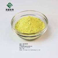 黄芩提取物黄芩甙 80%-90% CAS 21967-41-9 