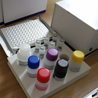 猴N端中段骨钙素(N-MID-OT)ELISA试剂盒