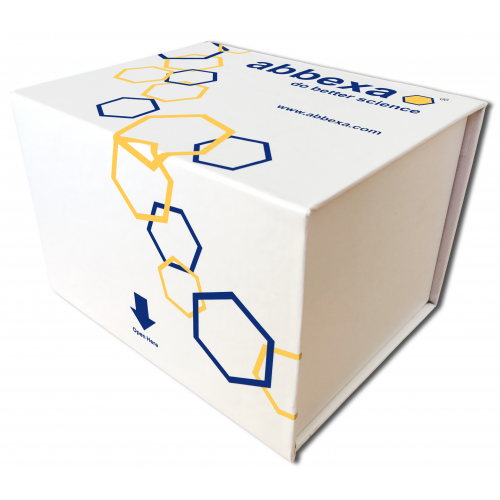 Abbexa ELISA试剂盒