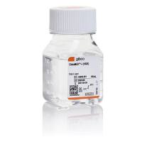 GlutaMAX Supplement100ml（谷氨酰胺替代物 更长效）