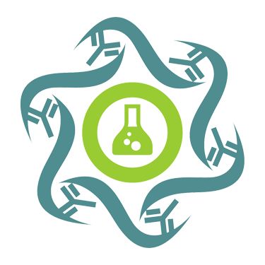 F-DH5α Chemically Competent Cell