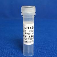 人促甲状腺激素（TSH）（重组）