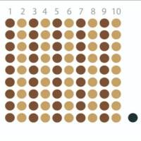 卵巢癌组织芯片（OVC901）