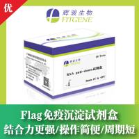 Flag标签免疫沉淀/免疫共沉淀试剂盒—结合力更强 操作简便 周期短—辉骏生物