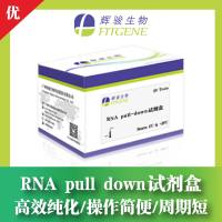 生物素RNA pull down试剂盒—高效纯化 操作简便 周期短—辉骏生物