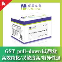 GST pull-down试剂盒-高效纯化/灵敏度高/特异性强-辉骏生物