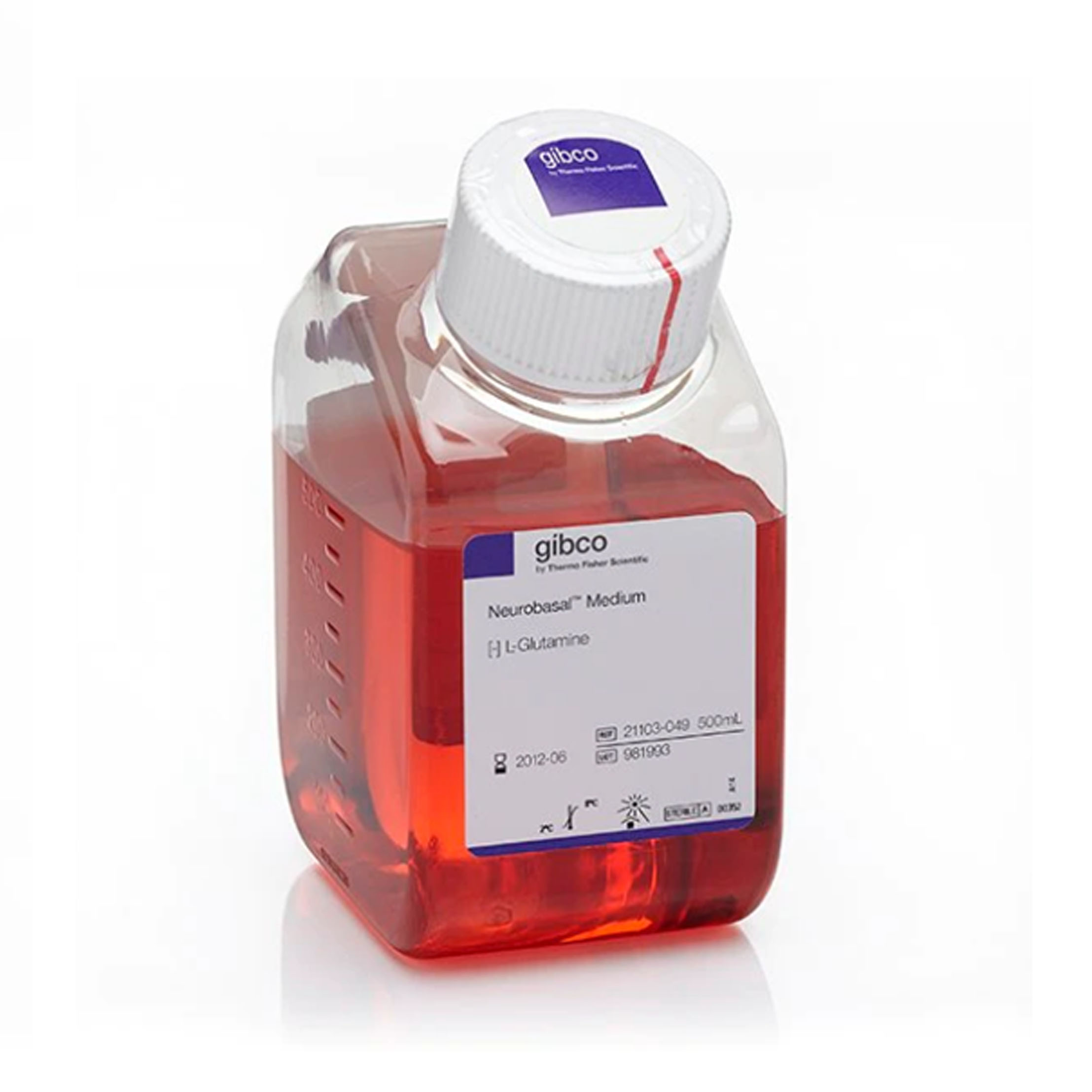 Neurobasal 基础培养基，出生前胎儿神经元干细胞培养