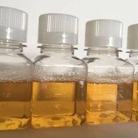 枸橼酸纳抗凝兔血