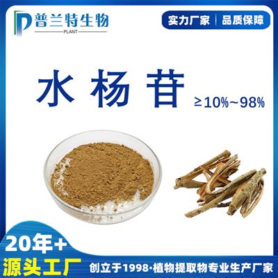 白柳皮提取物 水杨甙(水杨苷)10%15%25%30%50%98%