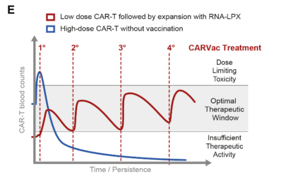 RNA 疫苗新进展，对实体瘤有疗效