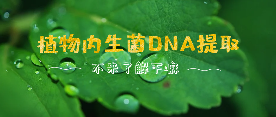 实验小干货|植物内生菌DNA提取解决方案