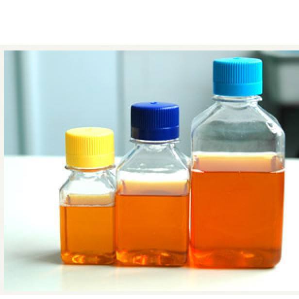 生物安全无小事，血清选购需慎行！