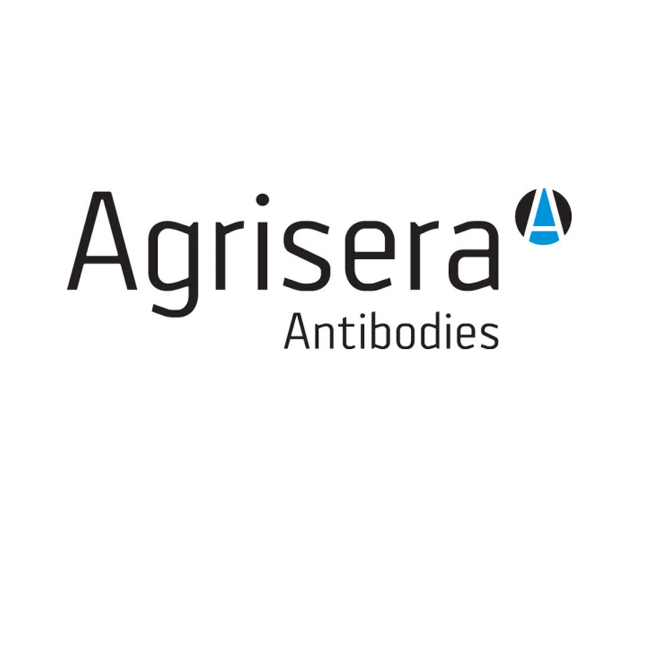 Agrisera单克隆及多克隆抗体，一抗，二抗,简介