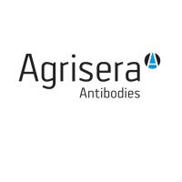 Agrisera单克隆及多克隆抗体,一抗,二抗,简介