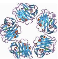 蛋白酶活性检测|检测蛋白酶活|蛋白酶酶活检测