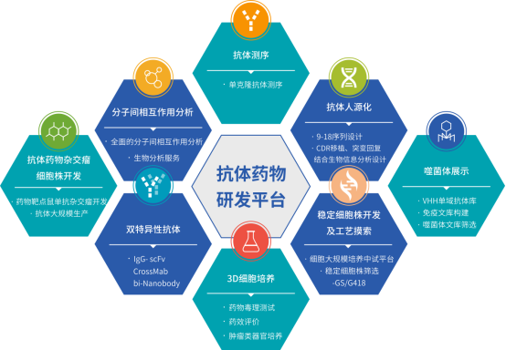 蛋白降解利用好,颠覆传统新药开发路径