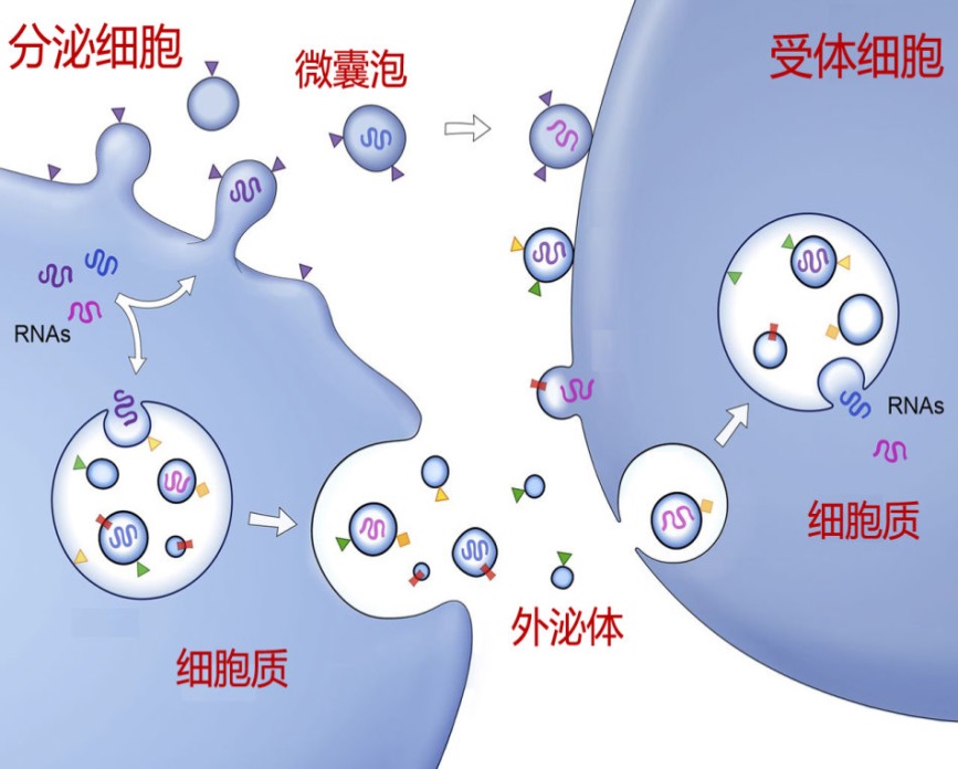 产品细节图片1