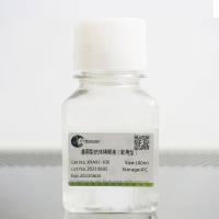 通用型抗体稀释液(即用型)