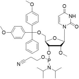 2'-OMe-U 亚磷酰胺单体