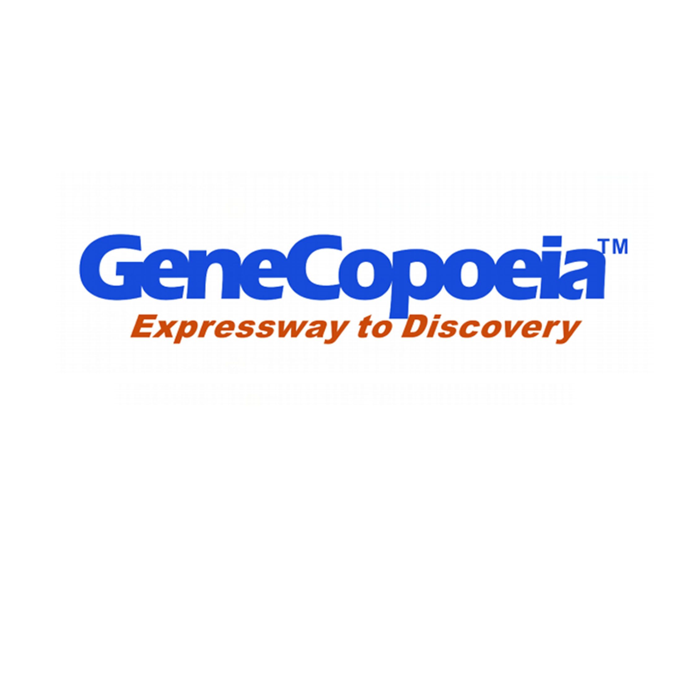 GeneCopoeia即用型ORF克隆、cDNA、shRNA、microRNA与启动子报告克隆,现货