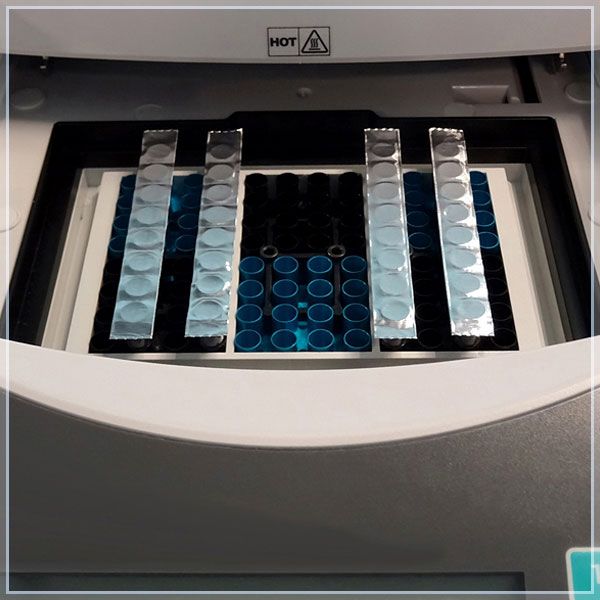 巴罗克biologix  EZcap PCR铝箔封膜条  61-0304