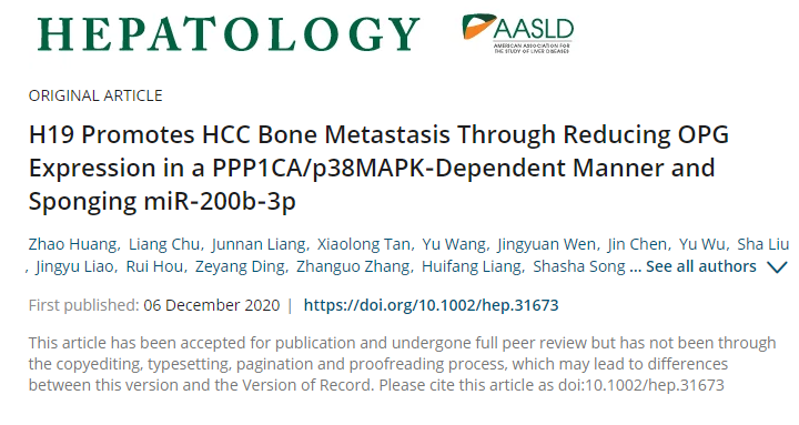 【客户文献解读】lncRNA在肝细胞癌骨转移的双重作用——介导蛋白结合与miRNA海绵