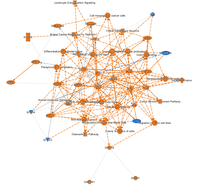 CROP-seq:CRISPR筛选+单细胞RNA-seq=无