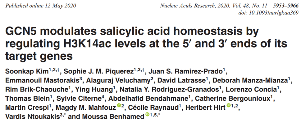 既激活又抑制的奇葩？且看组蛋白乙酰基转移酶的双重调控