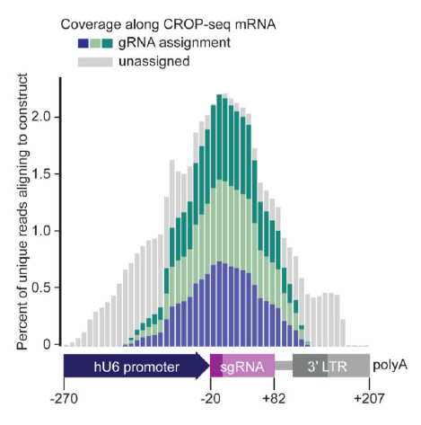 CROP-seq:CRISPR筛选+单细胞RNA-seq=无