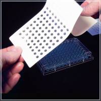 巴罗克biologix Zone-Free自动化密封膜 61-0070