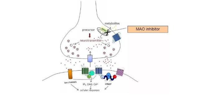二胺氧化酶(DAO)测试盒样本处理步骤