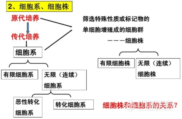 新闻图片2