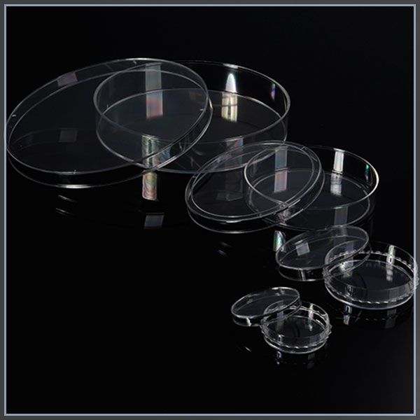 巴罗克Biologix  细胞培养皿，60×15mm   07-3060