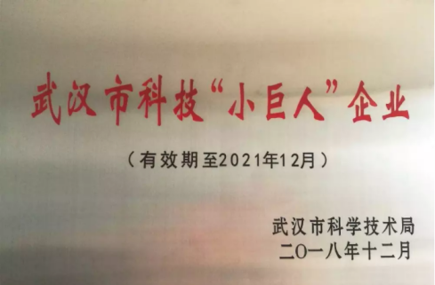 少年呐，我看你命中缺我~