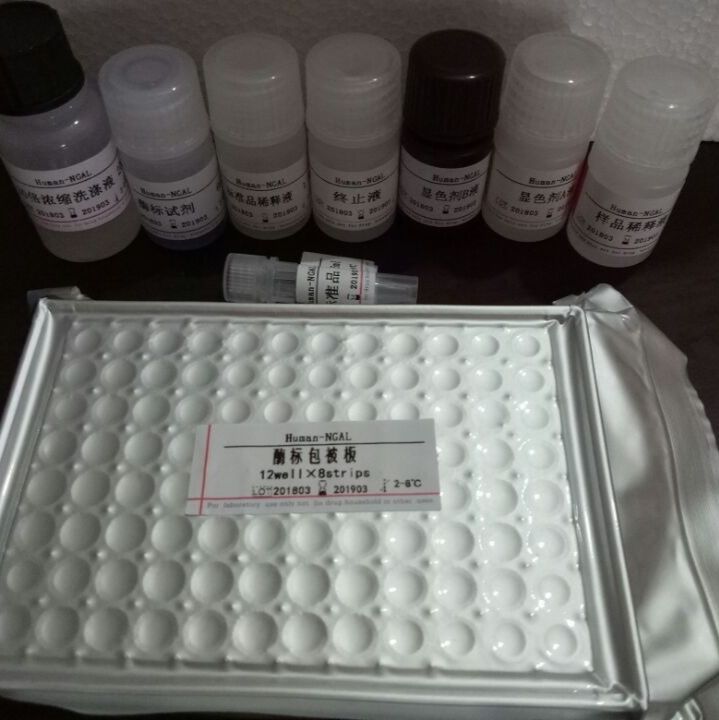 ELISA试剂盒、各种属ELISA试剂盒